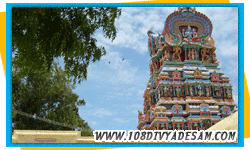 108 divya desams tour packages 13 kerala divyadesa yatra